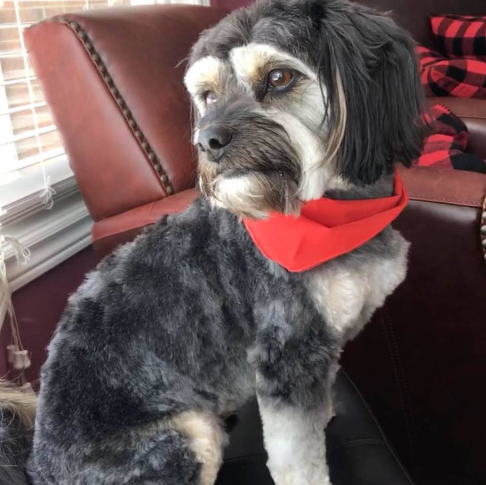 Meet your Posher, Coralee